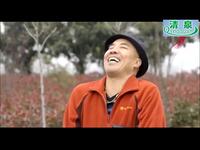 豫剧电影《新双喜临门》全集在线观看 孟祥礼主演乡村爱情戏曲
