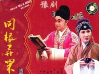 豫剧《同根异果》全场戏在线观看，刘晓燕刘昌东等名家演绎，经典伦理大剧完整呈现下载