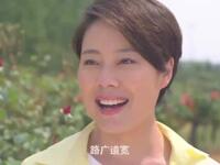 豫剧《农家妹子》全场戏高清下载 袁娜娜张军涛主演现代创业题材戏曲下载