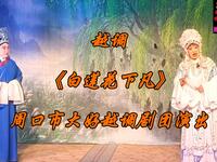 白莲花下凡