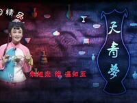 曲剧《天青梦》全场戏高清下载 - 朱旭光刘爱云李清主演汝瓷护宝大戏下载