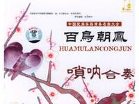 经典唢呐合奏《百鸟朝凤》高清下载 感受百鸟争鸣的震撼旋律