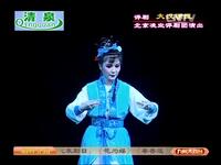 评剧《大汉名臣》全剧下载 - 孙路阳小灵玉主演高清评剧资源