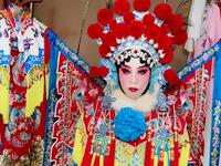 保定老调《狸猫换太子》全剧下载，经典宫廷权谋戏曲资源
