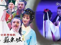 原创黄梅戏《东坡》全剧高清下载 - 张辉谢思琴主演精品戏曲