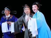 黄梅戏《御史夫人》全集下载 - 铜陵市艺术剧院经典廉政戏曲资源