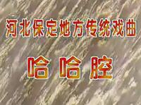 哈哈腔经典《王小打鸟》MP3音频下载 赵亚欣赵亚娟主演33分钟完整戏曲