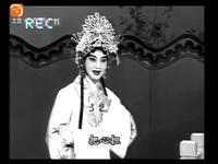 唐剧《桃李梅》选段下载史凤敏经典演唱，领略传统戏曲魅力