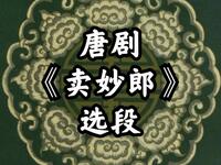 唐剧《卖妙郎》选段在线下载 崔立国徐武精彩演绎 戏曲资源一键获取
