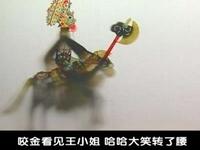 唐山皮影《瓦岗寨》第10集高清资源下载，经典传统戏曲在线畅享
