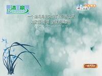 吕剧《兰桂飘香》全场视频下载 - 张明霞刘勇季长生主演