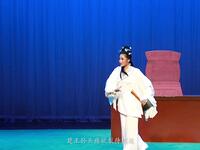 渔鼓戏《蝴蝶梦大劈棺》王巧玉演唱,经典唱段下载 渔鼓戏《蝴蝶梦大劈棺》王巧玉演唱,经典唱段下载