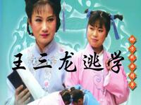 琴书《王三龙逃学》全集下载 - 王昌银高伟演唱6集完整版资源