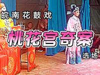 皖南花鼓戏《桃花宫奇案》选场经典悬疑剧情，领略地方戏曲独特魅力