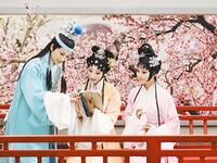 昆曲《红楼梦》全本下载邵天帅等主演，宝黛爱情与贾府兴衰经典演绎