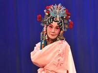 昆曲名家柳继雁经典作品合集下载，传承闺门旦艺术精髓