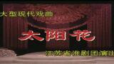 淮剧《太阳花》全剧下载 梁国英主演抗日题材经典戏曲资源
