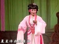 珊瑚情