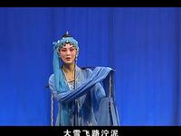东路花鼓戏《井台会》蔡勤曾美玲演唱，经典传