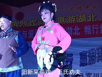 阳新传统采茶戏《王氏劝夫》高清资源下载，经下载