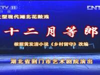 荆州花鼓戏《十二月等郎》全集下载 - 曾菊罗涛主演,聚焦农村留守女性的感人故事 荆州花鼓戏《十二月等郎》全集下载 - 曾菊罗涛主演,聚焦农村留守女性的感人故事