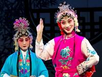 蒲剧《火焰驹表花》多版本合集（临汾版）在线观看下载 - 经典戏曲资源