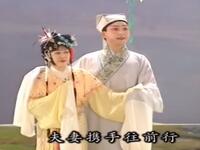 抚州采茶戏《追鱼》高清完整版在线观看，姜美玉陈晓明主演，经典戏曲资源下载下载