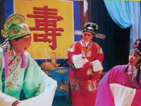 高安采茶戏《恩仇记》全集下载，席燕娟等主演，经典恩仇故事在线获取