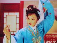 高安采茶戏《双玉蝉》全集下载 - 褚凤荣况慧主演经典戏曲资源
