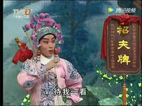粤剧《刘金定斩四门》全集高清下载 - 曾小敏彭庆华主演经典大戏