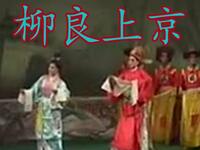 柳良上京