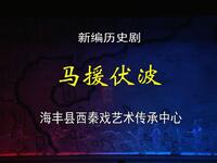 广东海丰西秦戏《马援伏波》全集下载｜吕维平下载