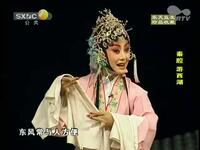 秦腔《游西湖》全本高清下载｜柳萍齐爱云等名家联袂，经典剧目完整呈现下载