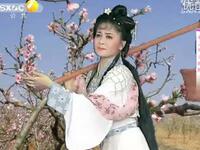 碗碗腔经典全本《黛玉葬花》在线下载,李军梅主演,红楼名段深情演绎 碗碗腔经典全本《黛玉葬花》在线下载,李军梅主演,红楼名段深情演绎