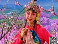 碗碗腔经典折子戏《桃园借水》全本在线观看任小蕾官小良演绎浪漫情缘 碗碗腔经典折子戏《桃园借水》全本在线观看任小蕾官小良演绎浪漫情缘