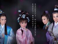 唐美云歌仔戏《碧桃花開》全集下载 - 经典歌仔戏剧目高清资源
