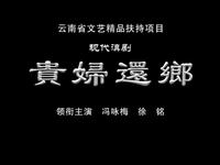 滇剧《贵妇还乡》全场下载 - 冯咏梅徐铭主演玉溪市滇剧院经典剧目 滇剧《贵妇还乡》全场下载 - 冯咏梅徐铭主演玉溪市滇剧院经典剧目