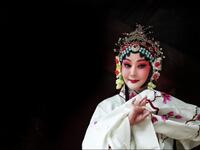 滇剧《祭桩》《刘氏四娘》全场视频下载,陈亚萍主演,家庭伦理经典剧目 滇剧《祭桩》《刘氏四娘》全场视频下载,陈亚萍主演,家庭伦理经典剧目