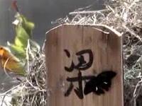 侗戏经典《梁山伯》下载凄美爱情故事,领略侗下载 侗戏经典《梁山伯》下载凄美爱情故事,领略侗下载