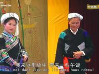 弼佑布依戏《罗细杏》在线观看下载,国家级非下载 弼佑布依戏《罗细杏》在线观看下载,国家级非下载