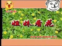 免费观看桂林彩调《姐妹看花》完整版，李剑敏等实力演绎，传统戏曲在线观看