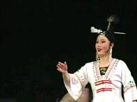 壮剧《瓦氏夫人》全剧下载|何一文等主演,民族抗倭英雄故事在线获取 壮剧《瓦氏夫人》全剧下载|何一文等主演,民族抗倭英雄故事在线获取