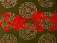 豫剧《巧配鸳鸯》全场高清下载 - 王希玲赵小毛刘杰主演经典剧目下载