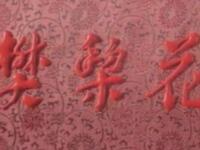 豫剧《樊梨花》全场戏资源下载李莉等名家经典演绎，高清完整豫剧视频
