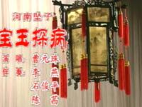 宝玉探病