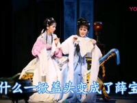 大调曲子《宝玉哭黛》冯林英演唱 - 红楼梦经典戏曲唱段下载