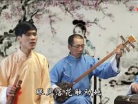 河南大调曲子《黛玉葬花》梁丽超演唱，经典红楼戏曲在线下载