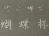 河北梆子《蝴蝶杯》全剧下载，李桂云王晓云韩月樵主演，北京市河北梆子剧团演出