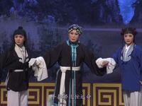 天津评剧院三团评剧《同根异果》全剧下载 - 经典古装大戏在线观看