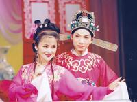 黄梅戏《珍珠塔》全集在线观看 吴亚玲尤元春主演经典戏曲下载